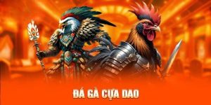 Giải đá gà cựa dao